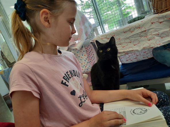 Ein Mädchen mit einem Buch in der Hand, aus dem sie einer Katze vorliest